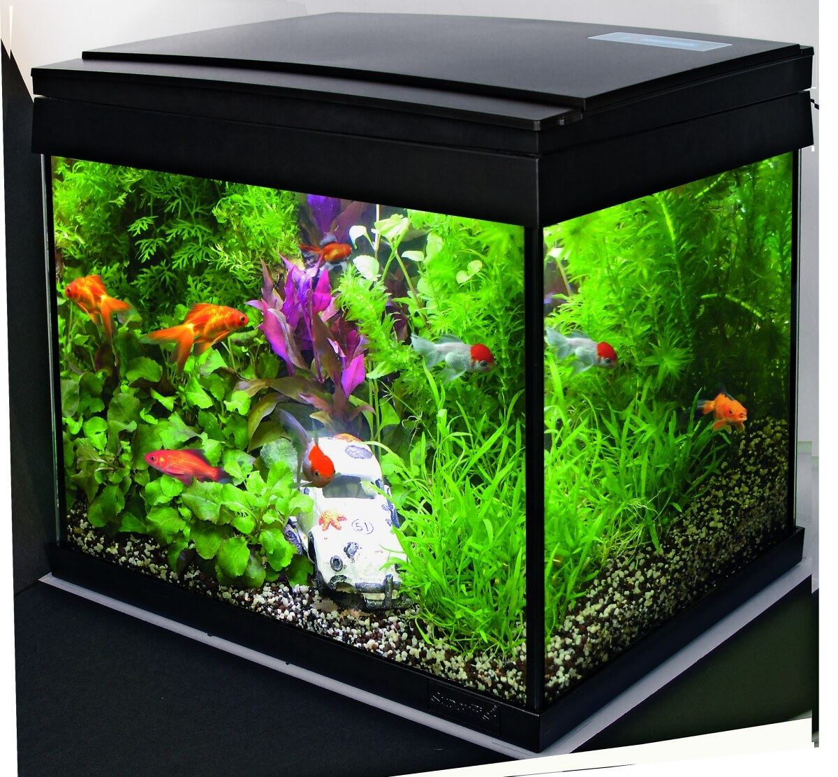 Aquarium aqua 20 Goldfisch Set - Aquarien & Möbel