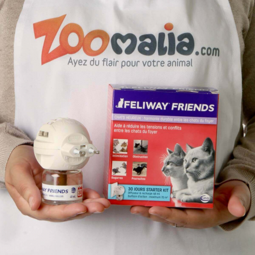 Feliway Friends Für ein besseres Zusammenleben von Katzen