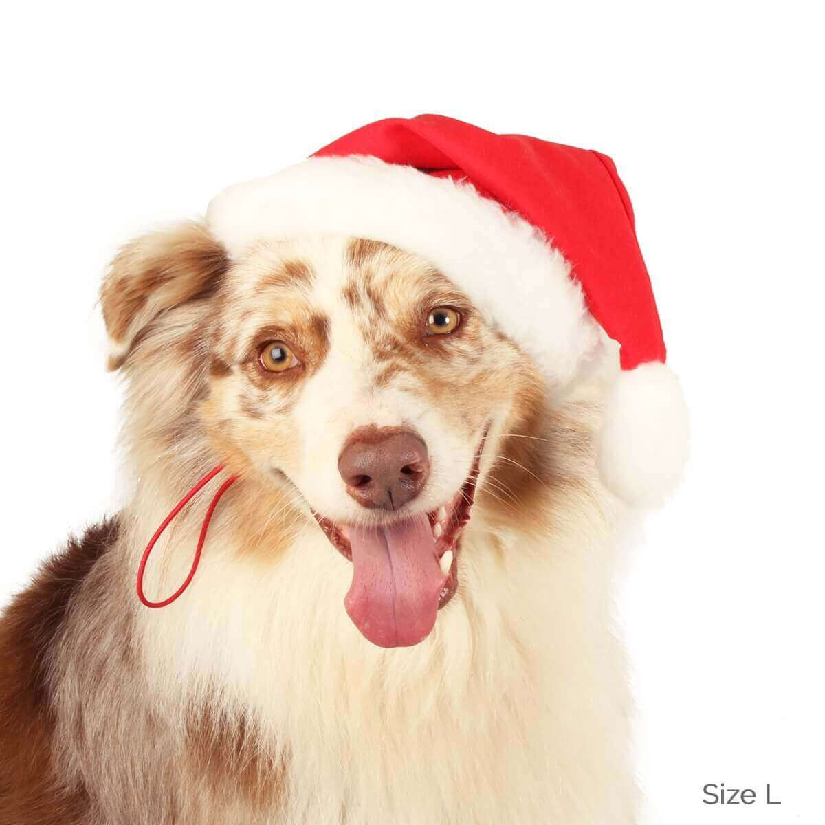 Weihnachtsmütze für Hunde und Katzen Festtagskleidung