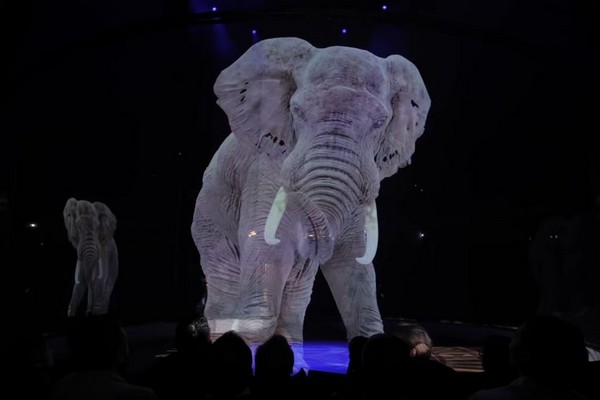 Allemagne : les animaux de cirque remplacés par des hologrammes !