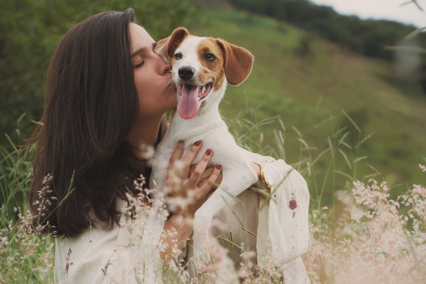 Journée mondiale du chien : Pourquoi est-il le meilleur ami de l'Homme ?