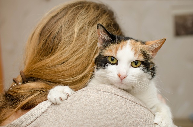 Selon une étude, les chats sont autant attachés à leur famille que les chiens !