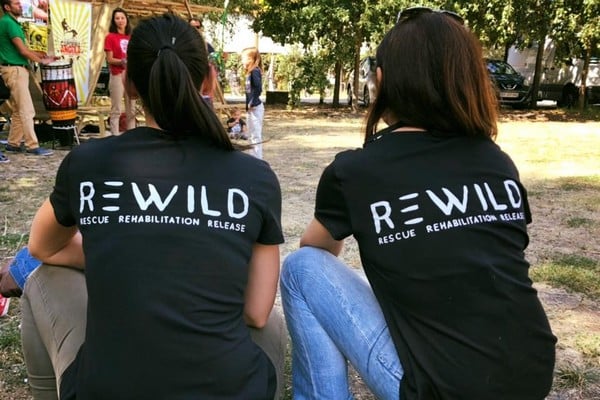 Zoo de Pont-Scorff : Quels sont les projets de l'association Rewild ?