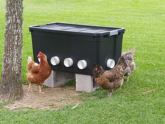 DIY : 11 mangeoires pour poules dans votre poulailler