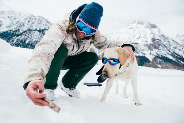 Aller au Ski avec son Chien : 9 Conseils d'experts