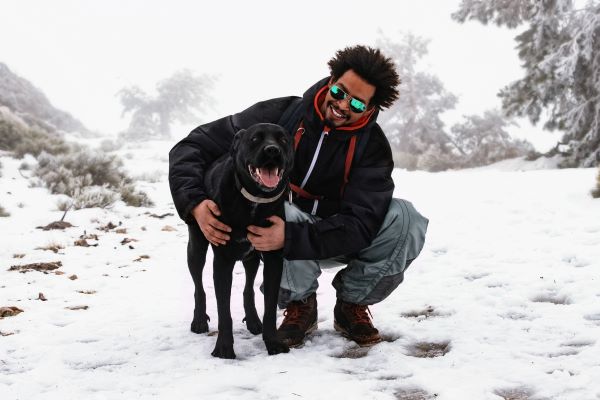 Quels sports canins faire cet hiver avec mon chien ? Le TOP 6
