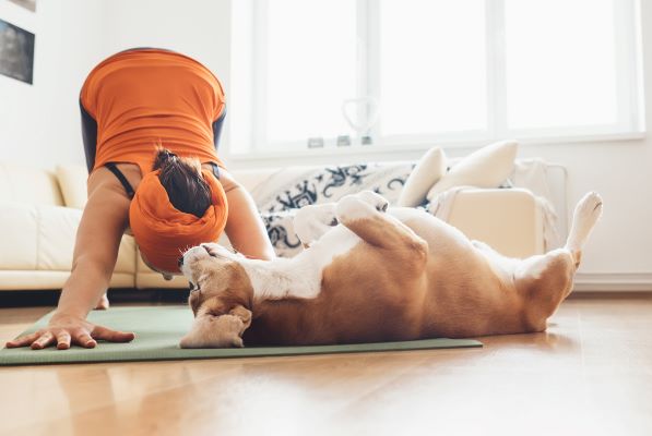 Dog Yoga : Comment faire un Cours de Yoga avec mon Chien ?