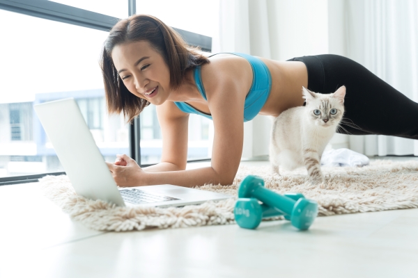 Comment faire du YOGA avec son Chat ? 7 Postures de Cat Yoga