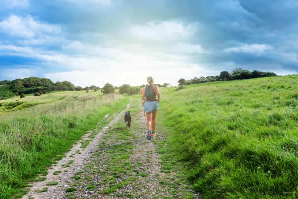 Courir avec son chien l’été : 9 Conseils pour un duo sportif