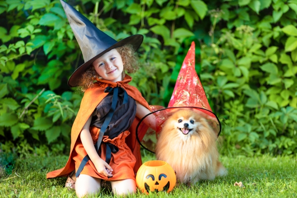 DIY Bonbons Halloween pour Chien : 9 Idées horribles&délicieuses