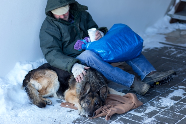 Ehrenamt für Tiere: Tierische Restaurants du Cœur für Hunde und Katzen