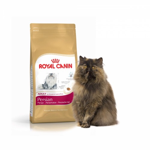 Quel Royal canin pour chat persan ?