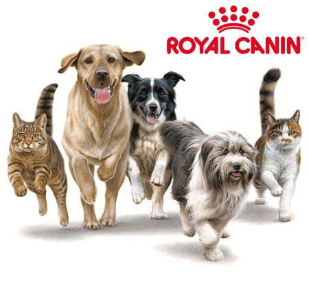 Royal Canin : l'histoire de la marque
