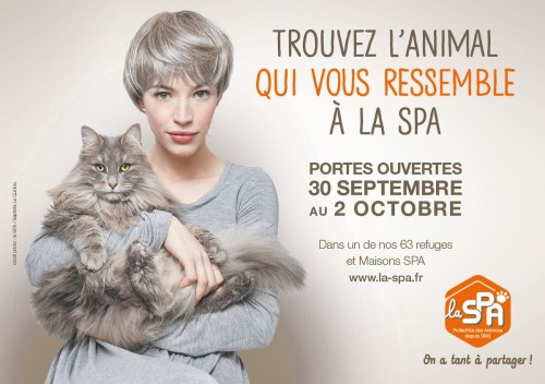 Journées de l'adoption pour les refuges de la SPA !