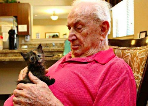 Une maison de retraite accueille des chatons orphelins