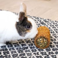 Quelles sont les bonnes Friandises pour les Lapins ?