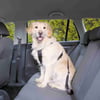 Pettorina di Sicurezza per Auto per cani