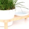 Comedero elevado con bol para hierba gatera - soporte de madera - Zolia Housy