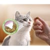 Dentalife Hühnchen-Leckerlis für erwachsene Katzen