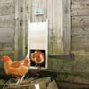 Free Chick Sistema de apertura automática paras puertas de gallineros