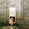 Porta automática para galinheiro Zolia - 2 tamanhos