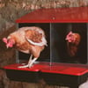 COPELE Platinum Metallnest für 1 bis 3 Hühner Indoor