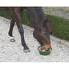 KERBL Delizia bronchial pietra da leccare per cavalli