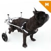 Rollstuhl für Hunde Hinterbeine Zolia Orthopedic