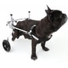 Rolstoel voor gehandicapte honden, voor achterpoten, Zolia