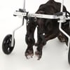 Rolstoel voor gehandicapte honden, voor achterpoten, Zolia