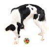 Palla per cani in gomma multicolore Zolia - 9,5 cm
