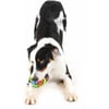 Bola para cão em borracha multicolorida - 9,5 cm