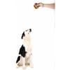 Bola para cão em borracha multicolorida - 9,5 cm
