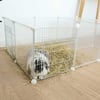 Recinto modulabile Zolia Willy con pareti trasparenti - Set completo per conigli, roditori