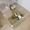 Modulares Gehege Zolia Willy mit transparenten Wänden - S - Komplettset für Kleintiere