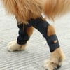 Gelenkschoner für Hunde Zolia Orthopedic bequem und Neopren