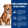 HILL'S Prescription Diet Nassfutter Derm Complete für Hunde