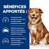 HILL'S Prescription Diet Nassfutter Derm Complete für Hunde
