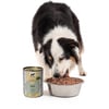 WILLIAM'S Nassfutter BIO & getreidefrei mit Rindfleisch für Hunde