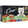 CESAR Landküche für erwachsene Hunde - 4x150g