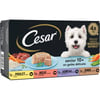 CESAR Gartenvielfalt für erwachsene Hunde mit Gartengemüse - 4x150g