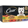 CESAR Les recettes de Campagne patè per cani adulti in salsa scatolette 4 varietà
