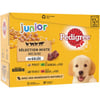 PEDIGREE Junior Pack de comida húmeda en gelatina para cachorros - 4 recetas