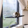 Hamaca para ventana para gatos Zolia Eden Cat