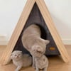 Cuccia teepee per gatti e piccoli gatti Zolia Mimisiku