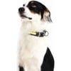 Coleira luminosa amarela para cão com USB Zolia Marty
