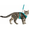 Trixie Pettorina Y rete con guinzaglio elastico per gatti