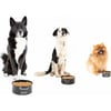 Tigela para cães e gatos Zolia Snacky Bowl - 3 tamanhos disponíveis