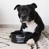 Tigela para cães e gatos Zolia Snacky Bowl - 3 tamanhos disponíveis