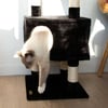 Arranhador para gatos - 125 cm - Zolia Hiro